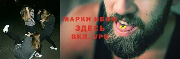 шишки Баксан