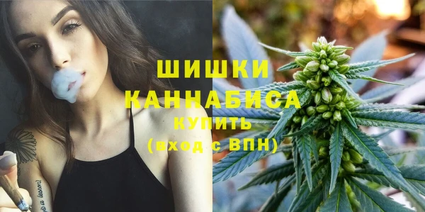 шишки Баксан